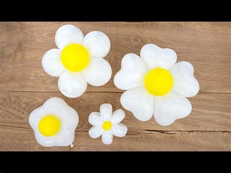 daisy ballons|how to make daisy balloons.